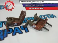 Петли двери задней левой Infiniti FX45.