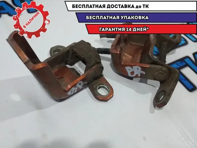 Петли двери задней правой Infiniti FX45.
