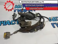 Проводка двери задней правой Infiniti FX45 24126CG01.