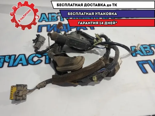 Проводка двери задней правой Infiniti FX45 24126CG01.