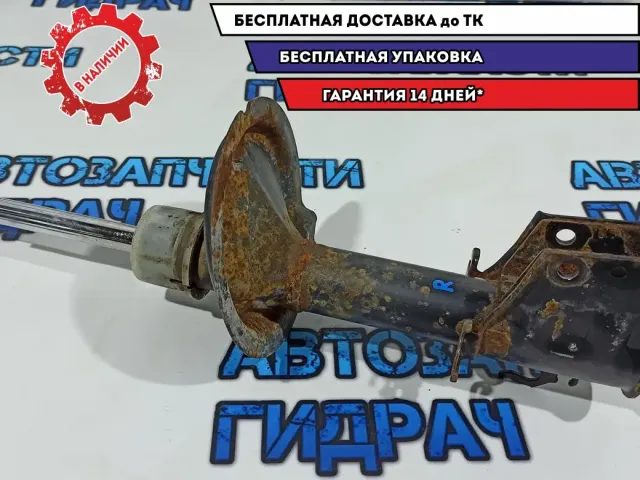 Амортизатор передний правый Fiat Doblo 51766603.