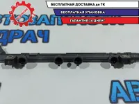 Рейка топливная Fiat Doblo 55195806.