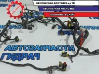 Проводка (коса) Fiat Doblo 55203697.