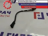 Датчик кислородный Fiat Albea 258006206.
