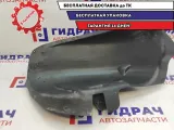 Локер задний правый Fiat Albea 46803905.