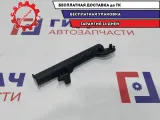 Накладка двери задней правой Fiat Albea 51804487.