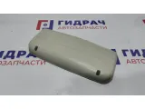 Накладка заднего стоп сигнала Fiat Albea 735298991.