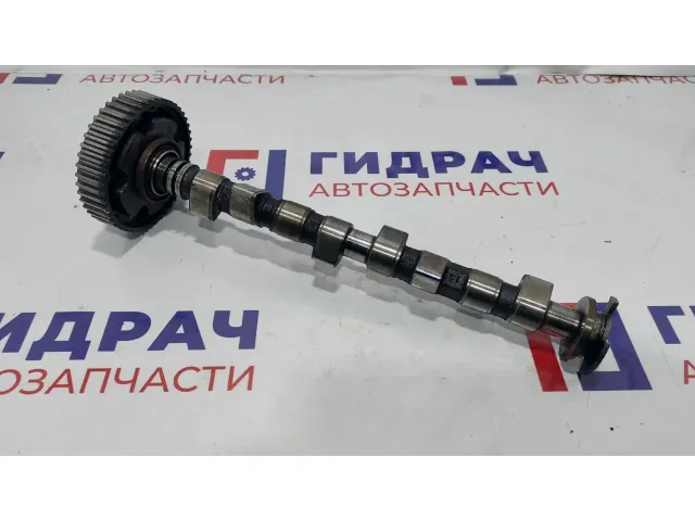 Распредвал Fiat Albea 55195803.