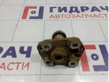Цапфа задняя левая Fiat Grande Punto (199) 55701516