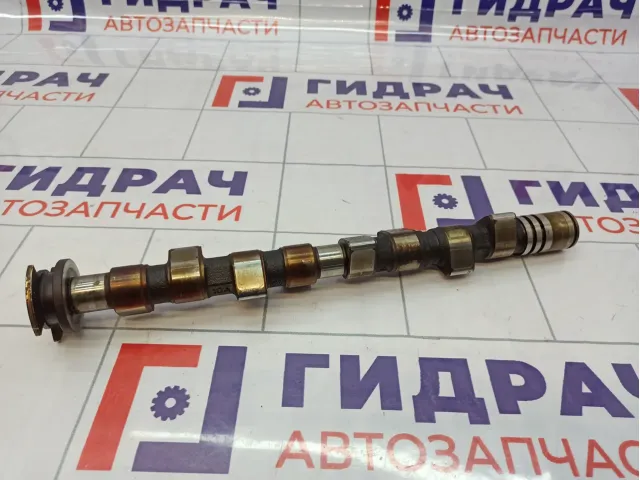 Распредвал Fiat Grande Punto (199) 55195803