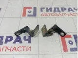 Петли двери задней левой Fiat Grande Punto (199)