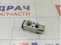 Клапан кондиционера Fiat Grande Punto (199) 55702406