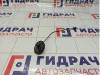 Антенна Fiat Grande Punto (199)