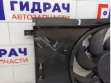 Вентилятор радиатора Fiat Grande Punto (199) 55700341