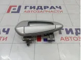 Ручка двери наружная задняя левая Fiat Punto (199)