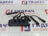 Катушка зажигания Fiat Punto (199) 55208723