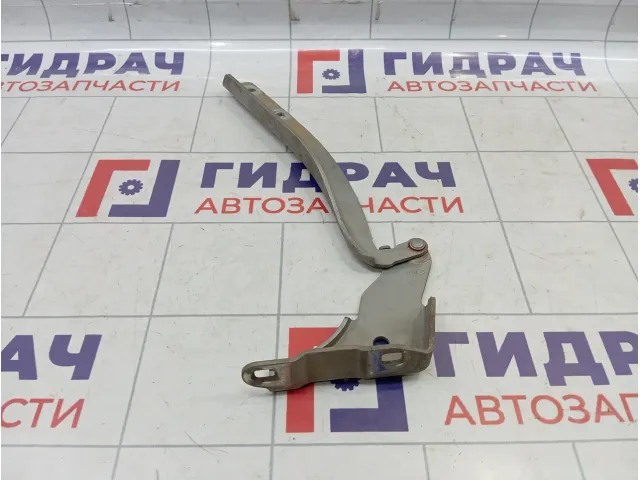 Петля капота правая Fiat Punto (199) 51761348