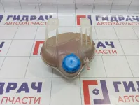 Бачок расширительный Fiat Punto (199) 55700508