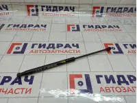 Амортизатор двери багажника Fiat Punto (199) 51778432