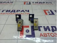 Петли двери задней правой Fiat Punto (199)