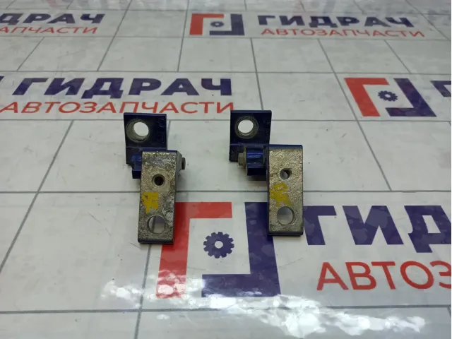 Петли двери задней правой Fiat Punto (199)