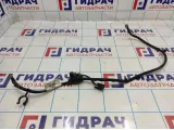 Клемма аккумулятора плюс Ford Focus 3 1750598.