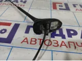 Антенна Ford Focus 3 1695477.