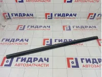 Уплотнитель стекла переднего правого Ford C-MAX 1699593