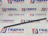 Уплотнитель стекла переднего правого Ford C-MAX 1699593