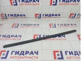 Уплотнитель стекла переднего правого Ford C-MAX 1699593