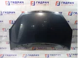Капот Ford C-MAX 1493967