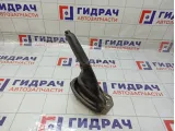 Рычаг, педаль стояночного тормоза Ford C-MAX 1670791