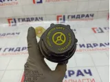 Бачок гидроусилителя Ford C-MAX 1420238