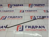 Держатель капота Ford C-MAX 1317310