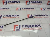 Держатель капота Ford C-MAX 1317310