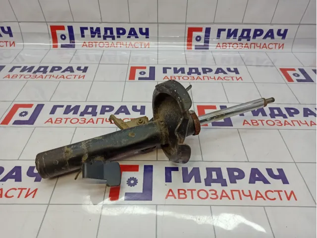 Амортизатор передний правый Ford C-MAX 1619269