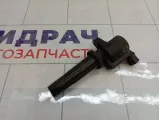 Катушка зажигания Ford C-MAX 5047437