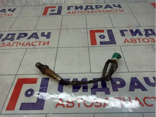Датчик кислородный Ford C-MAX 1309292