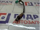 Датчик кислородный Ford C-MAX 1309292
