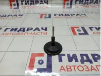Болт крепления запасного колеса Ford C-MAX 1471645