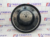 Чехол запасного колеса Ford EcoSport 2041150