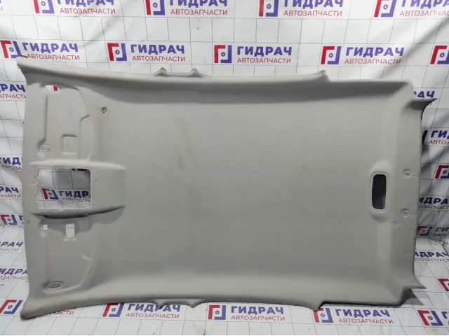 Обшивка потолка Ford EcoSport 2135981