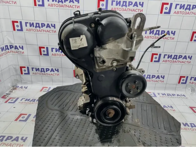 Двигатель Ford EcoSport 1537995