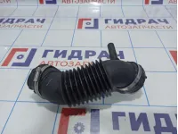 Патрубок воздушного фильтра Ford EcoSport 1796129 Патрубок воздушного фильтра Ford EcoSport 1796129