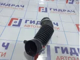 Патрубок воздушного фильтра Ford EcoSport 1796129