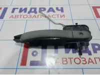 Ручка двери наружная передняя левая Ford Fiesta (Mk VI)