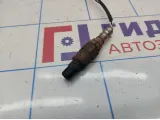 Датчик кислородный Ford Fiesta (Mk VI) 2S6A9G444BA