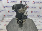 Двигатель Ford Fiesta (Mk VI) 1734722