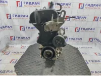 Двигатель Ford Fiesta (Mk VI) 1734722