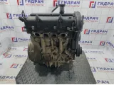 Двигатель Ford Fiesta (Mk VI) 1734722